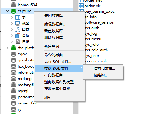 转储sql